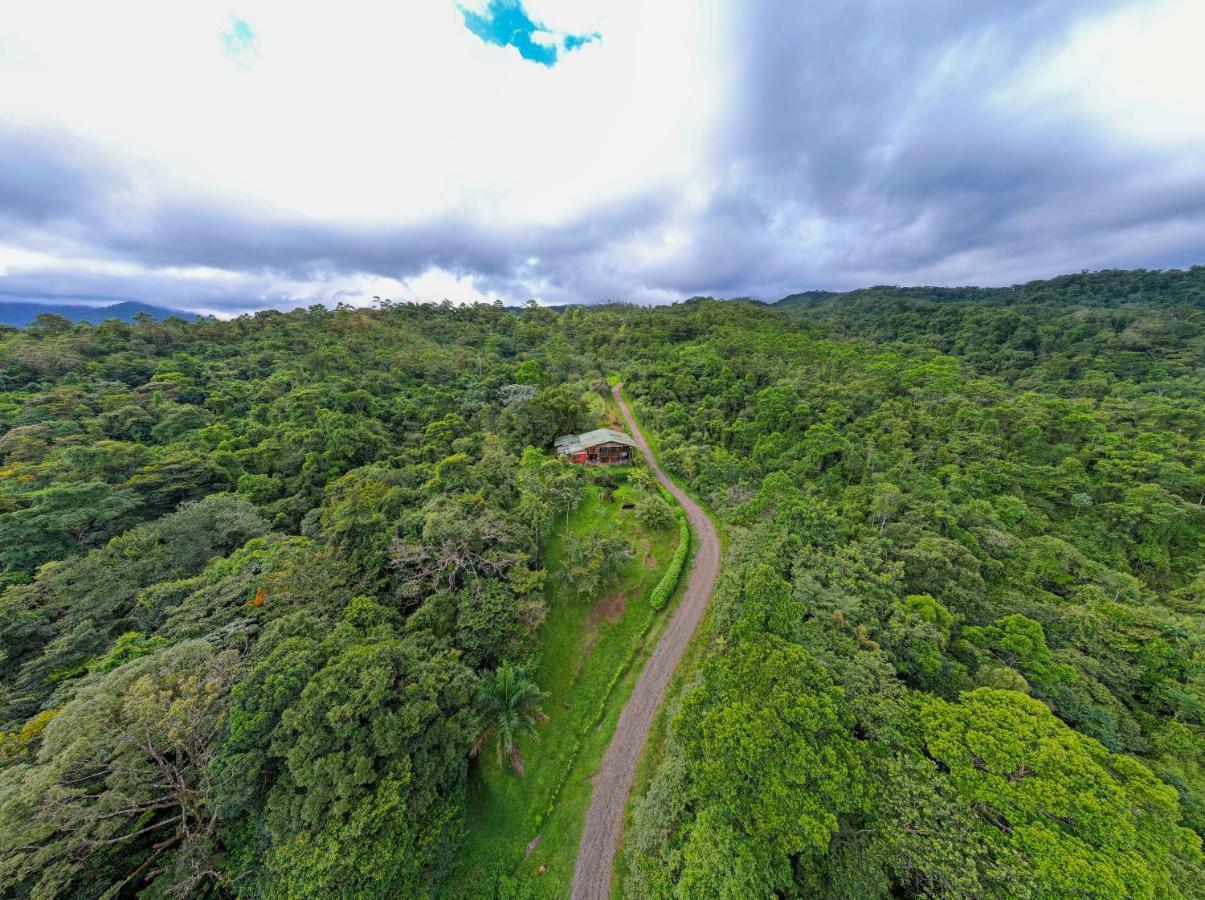 La Tigra  Birds & Breakfast Costa Rica Bed & Breakfast エクステリア 写真