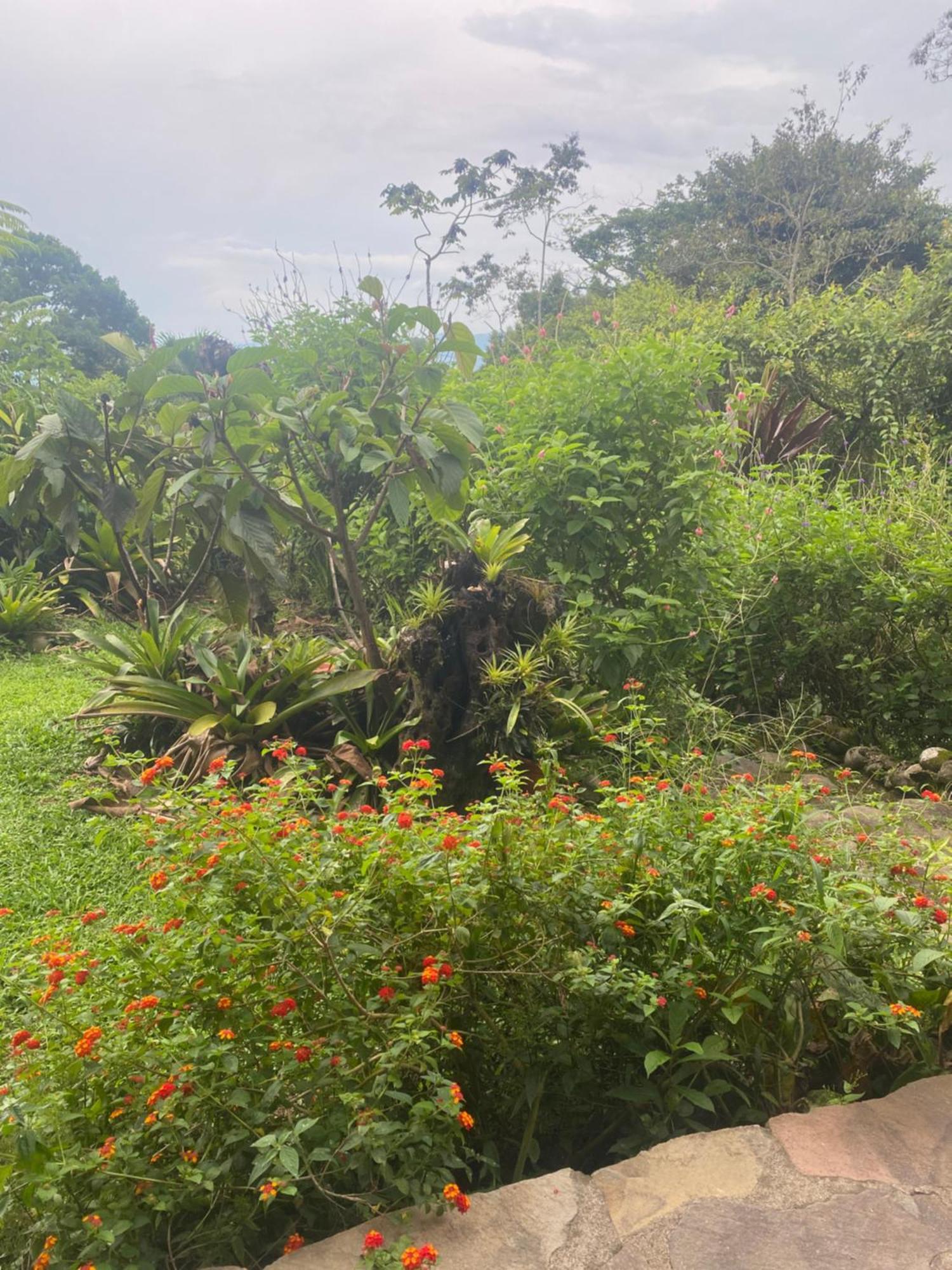 La Tigra  Birds & Breakfast Costa Rica Bed & Breakfast エクステリア 写真