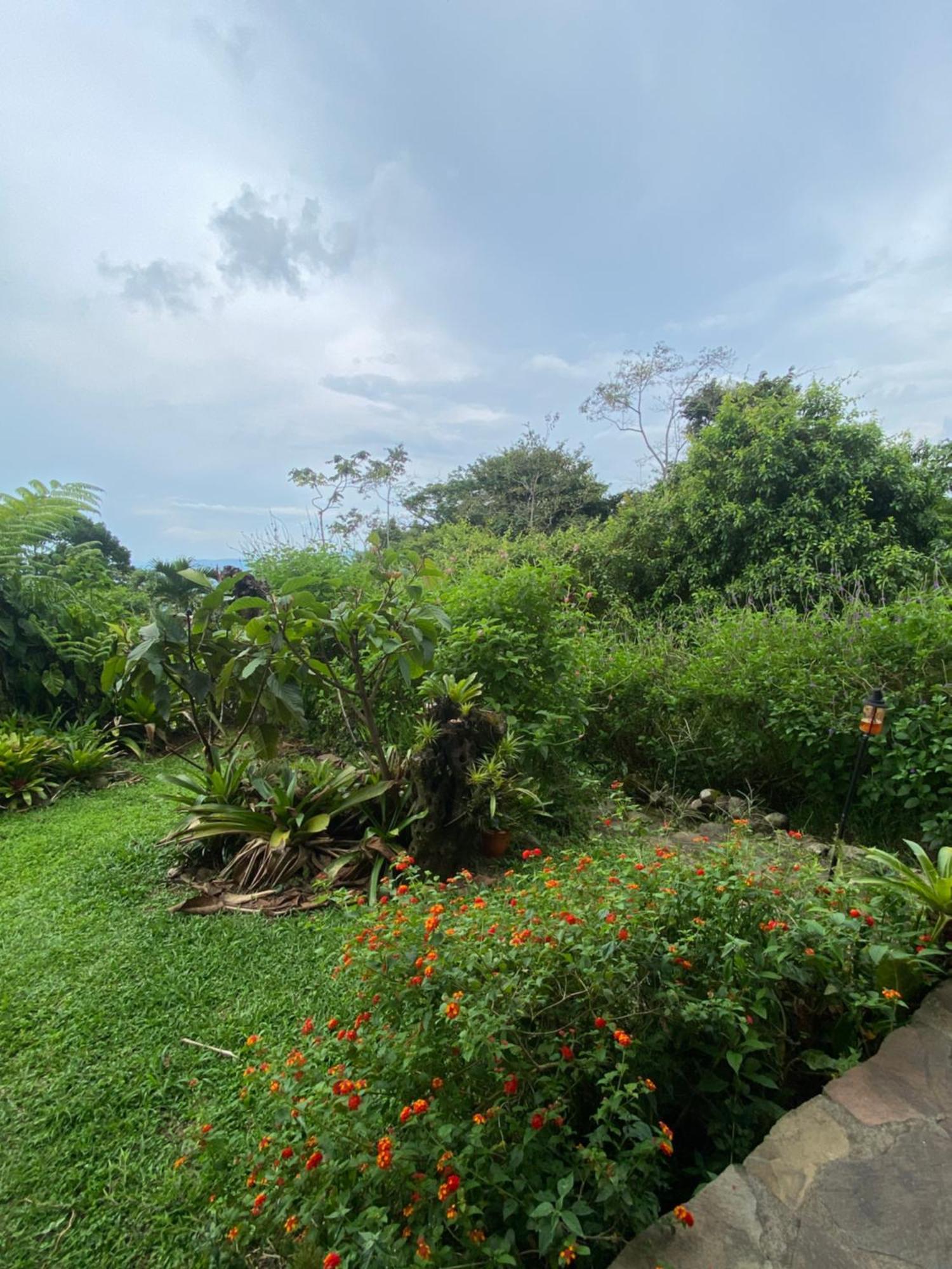 La Tigra  Birds & Breakfast Costa Rica Bed & Breakfast エクステリア 写真