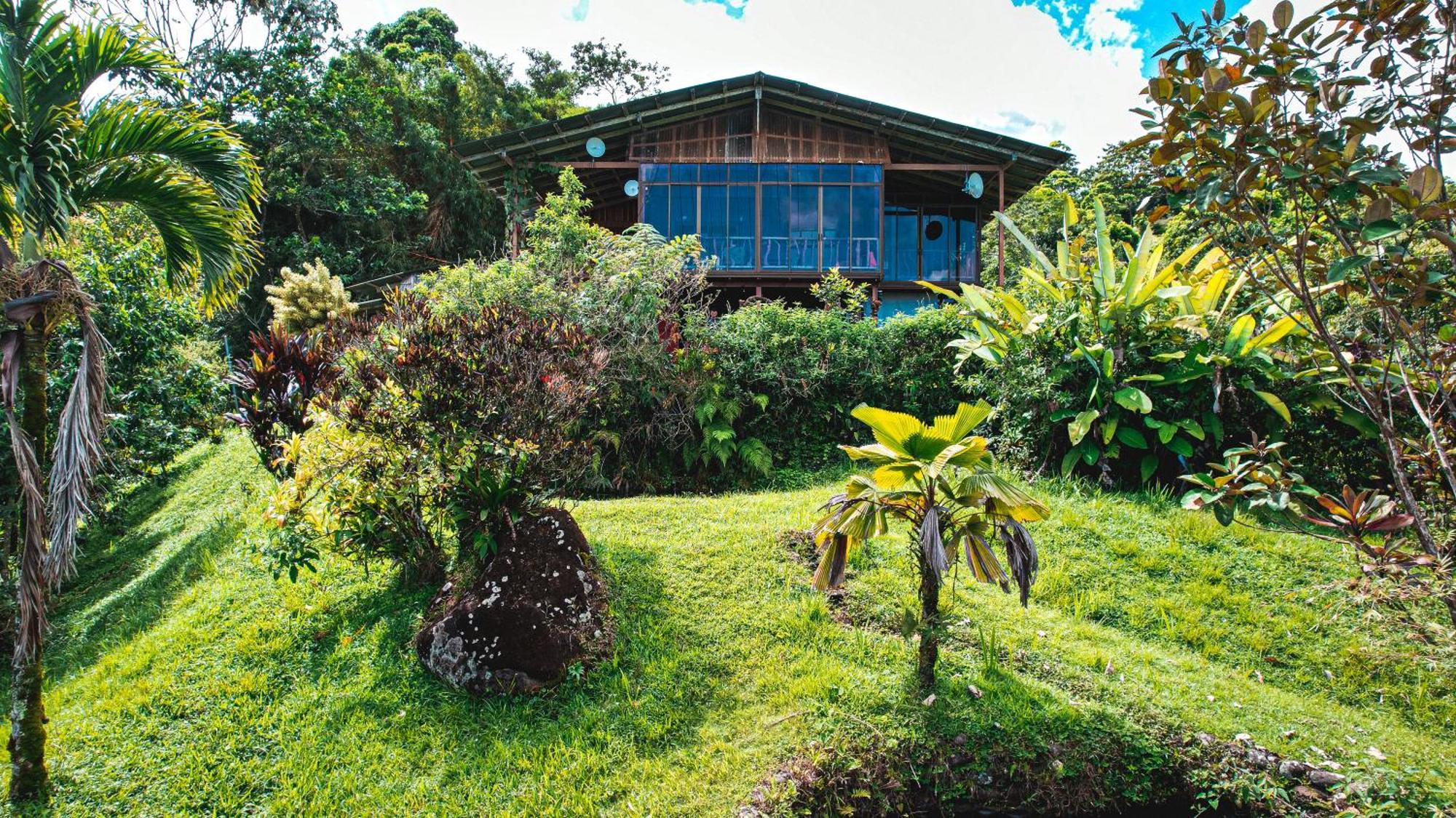 La Tigra  Birds & Breakfast Costa Rica Bed & Breakfast エクステリア 写真