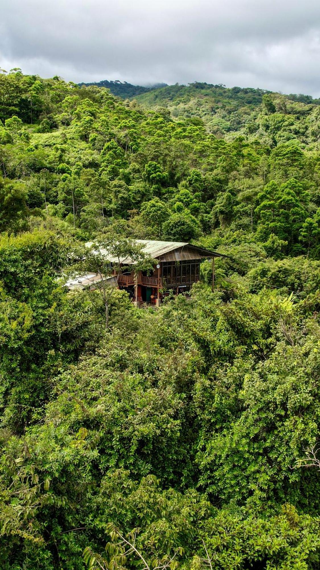 La Tigra  Birds & Breakfast Costa Rica Bed & Breakfast エクステリア 写真