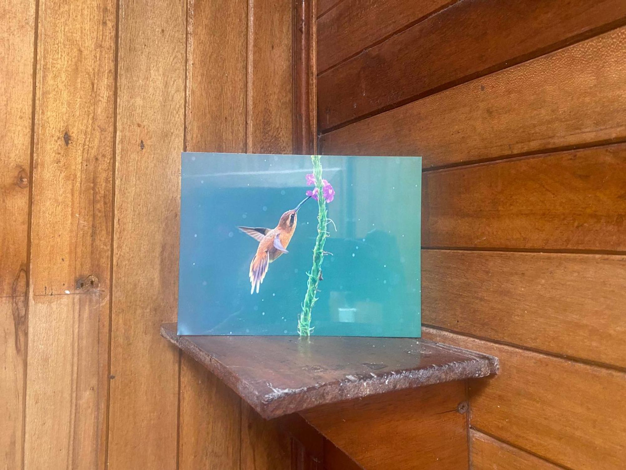 La Tigra  Birds & Breakfast Costa Rica Bed & Breakfast エクステリア 写真